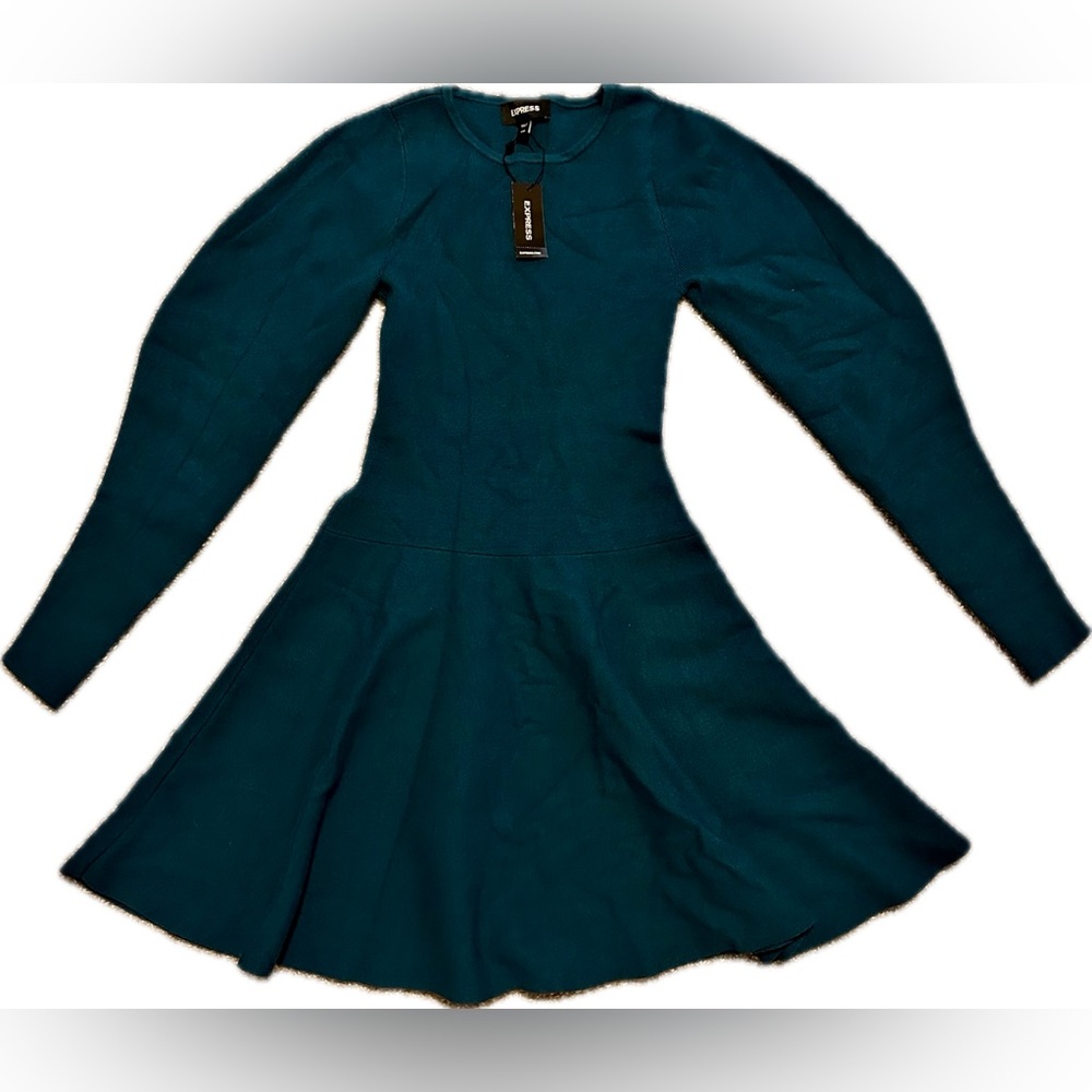 Express Dress - Picture 2 of 2